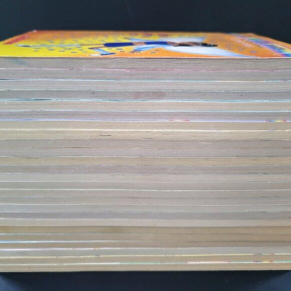 RAINBOW MAGIC FAIRIES FAIRY GIRLS HUGE LOT OF 25 BOOKS DAISY MEADOWS SCHOLASTIC - Picture 7 of 13